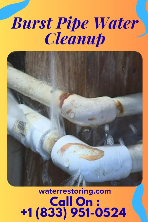 Burst Pipe Water Cleanup in Brazil, IN