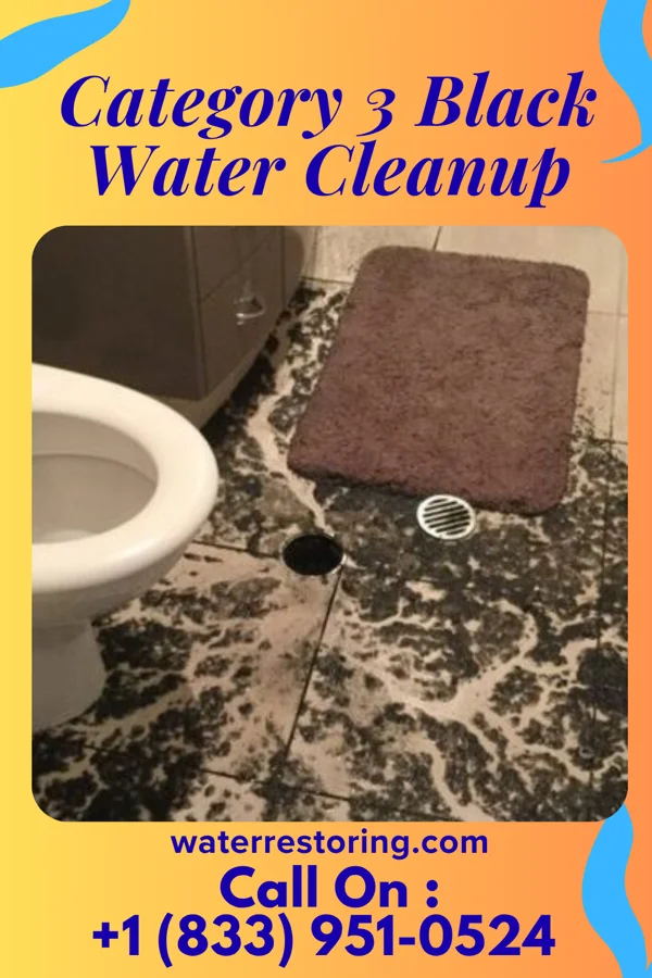 Category 3 Black Water Cleanup in Brazil, IN