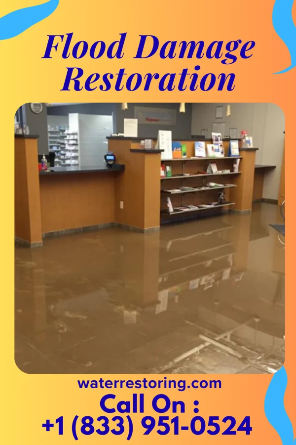 Flood Damage Restoration in Brazil, IN