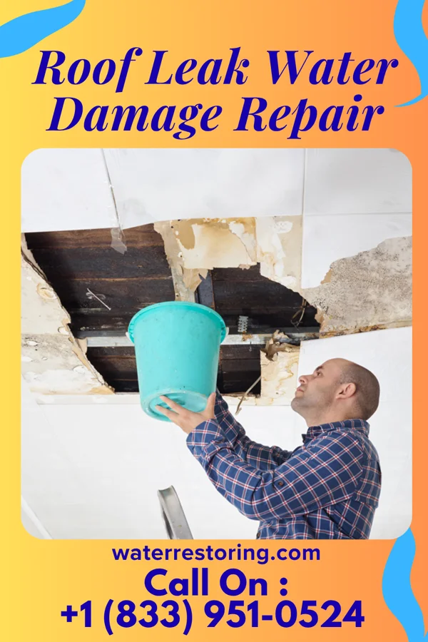 Roof Leak Water Damage Repair in Brazil, IN